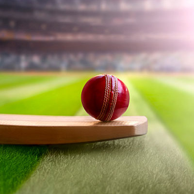 Cricket Bat and Ball Image
